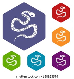 Python snake icons set hexagon isolated vector illustration