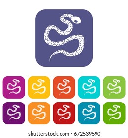 Python snake icons set vector illustration in flat style In colors red, blue, green and other