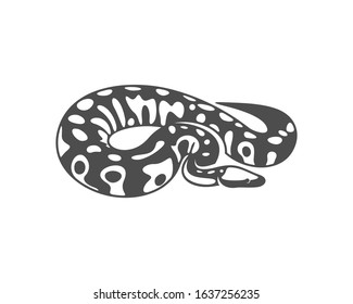Python snake logo vector, Animal graphic, Snake design Template illustration