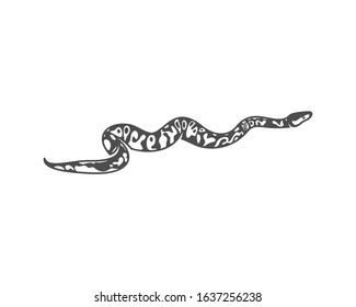 Python snake logo vector, Animal graphic, Snake design Template illustration