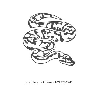 Python snake logo vector, Animal graphic, Snake design Template illustration