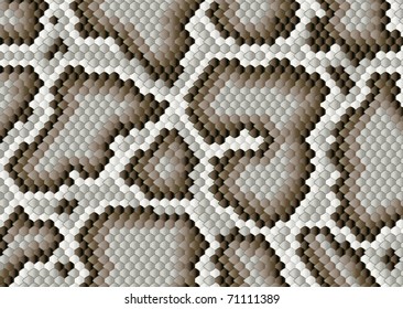 Python snake skin pattern