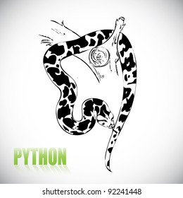 python snake - vector