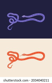 Python in Vintage style. Serpent or poisonous viper snake. Engraved hand drawn old reptile sketch for Tattoo, sticker or logo or t-shirts.