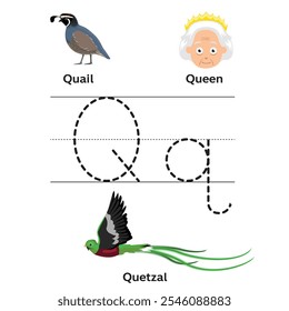 Alfabeto Q Letra Inglesa Tracing Learning Vetor Pré-escola