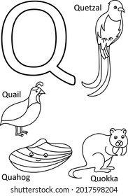 Q animals names, Alphabet coloring for kids, Alphabet animals coloring page, ABC coloring, Preschool education