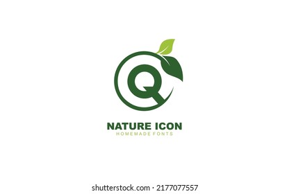 Q herbal logo design inspiration. Vector letter template design for brand.