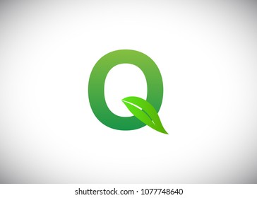 Q Letter eco logo with leaves icon design template. Vector Illustration