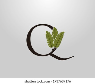 Q Letter With Green Banana Leaf, Tropical Alphabet Sign Design Concept.