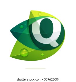 Q letter with green leaves and dew drops. Vector design template elements for your application or corporate identity.