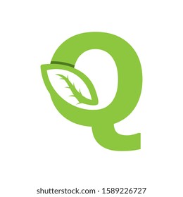 Q Letter logo leaf concept template design