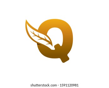 Q Letter logo or symbol template