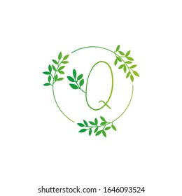 Q letter logo vector design. Q Icon eco green and circle concept template. Q vector set of green eco letters logo with leaves. Q alphabet of green leaves isolated on white background. Floral Alphabet.