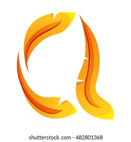 Q letter, stylization of feathers. Q logo. Q icon