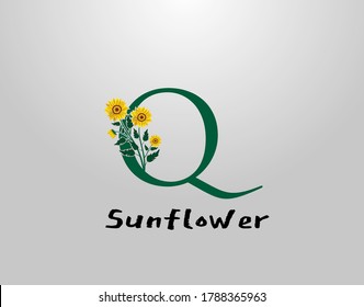 Q Letter with sunflower vector design. Flower Plant Q Logo Icon. Typography design