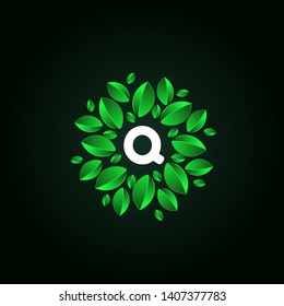 Q LETTER VECTOR LOGO APHABET ICON