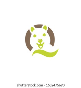 Q logo with koala icon vector design