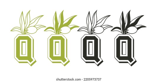 Q Olive Tree Logo Vector Icon Symbol Template. Olive Vector Illustration. Q Olive Oil Vector