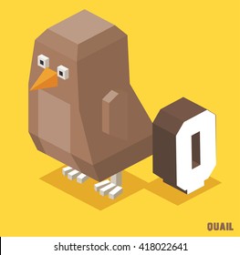 Q for Quail. Animal Alphabet collection. vector illustration
