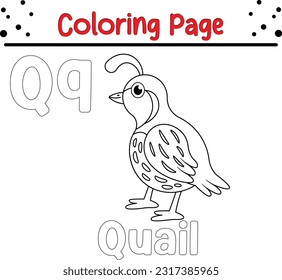 Q for quail animals names, Alphabet coloring for kids, Alphabet animals coloring page, ABC coloring, Preschool education