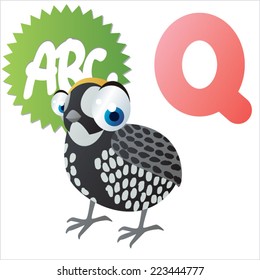 Q is for Quail Bird