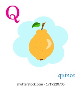 Q is for quince illustration alphabet 