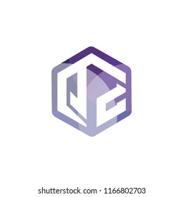 Q Z Initial letter hexagonal logo vector