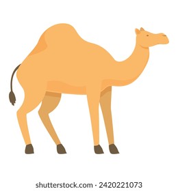 Qatar camel animal icon cartoon vector. Nation tourism. Visitor eastern