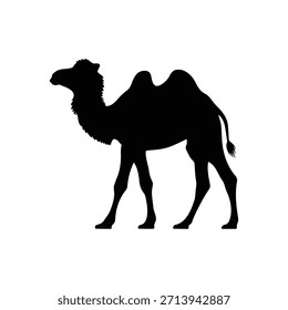 Projeto de ilustração plana do vetor da silhueta do camelo de Qinghai.