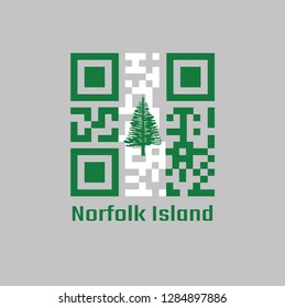 QR code set the color of Norfolk flag, Norfolk Island Pine in a central white stripe between two green stripes. concept of sale or business.