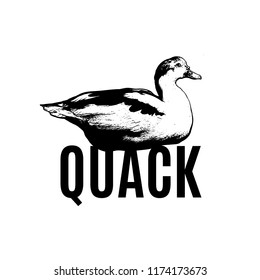 Quack. Vector poster with hand drawn illustration of duck isolated. Template for card, poster, banner, print for t-shirt, pin, badge, patch.