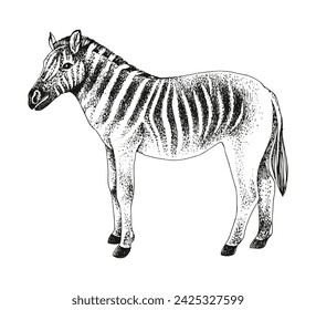 Vector de boceto de animal extinto Quagga