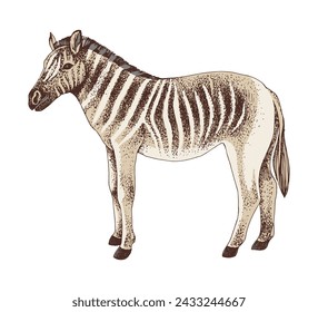 Vector de boceto de animal extinto Quagga