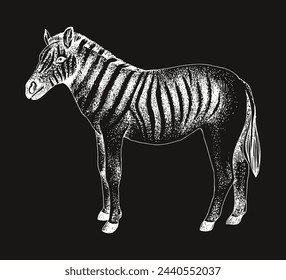 Vector de boceto de animal extinto Quagga