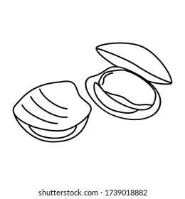 Quahog Clam Outline Picture For Coloring 