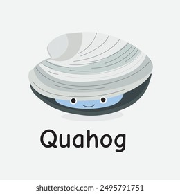 Quahog Vector Illustration: Hard-Shelled Marine Mollusk