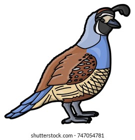 Quail