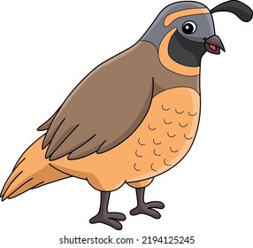 Quail Animal Cartoon Colored Clipart Illustration
