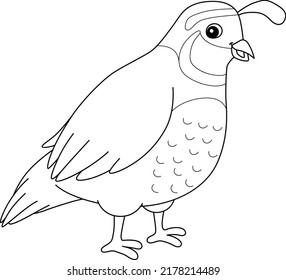 Quail Animal Coloring Page for Kids