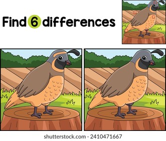 Quail Animal Find The Differences
