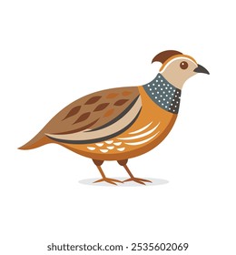 
Quail animal isolated flat vector illustration on white background