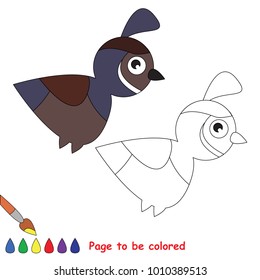 Quail Bird to be colored, the coloring book for preschool kids with easy educational gaming level.