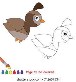 Quail Bird to be colored, the coloring book for preschool kids with easy educational gaming level.