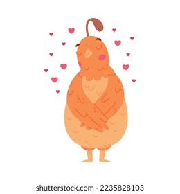 Quail Bird with Crest and Feathers Standing Feeling in Love with Heart Around Vector Illustration