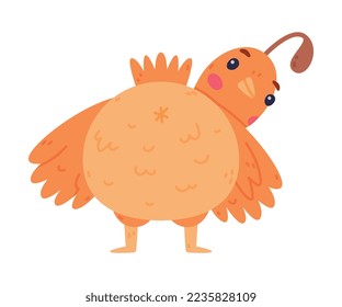 Quail Bird with Crest and Feathers Standing with Its Back Vector Illustration