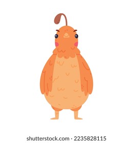 Quail Bird with Crest and Feathers in Standing Pose Vector Illustration
