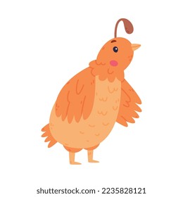 Quail Bird with Crest and Feathers in Standing Pose Vector Illustration