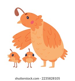 Quail Bird with Crest and Feathers Walking with Its Baby Vector Illustration