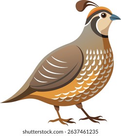 Quail bird in elegant cartoon nature style illustration vector design
