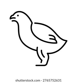 Quail bird icon. Animals and poultry line symbol. Black and white.